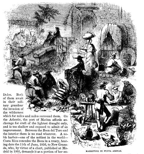 Texto de Marketing In Punta Arenas. Mercando en Puntarenas en 1860 por Paéz, Ramón (extranjero). Documental