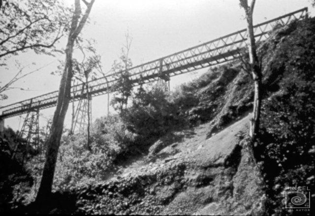 Puente del ferrocarril sobre el río Pirrís por Morgan, Henry