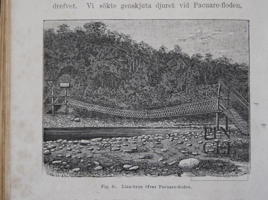 Lisan-bron öfver Pacuare-floden  del  Libro: "Resa I Central-Amerika 1881-1883" por Meyer X A, W (extranjero). Spöberg, A (extranjero)